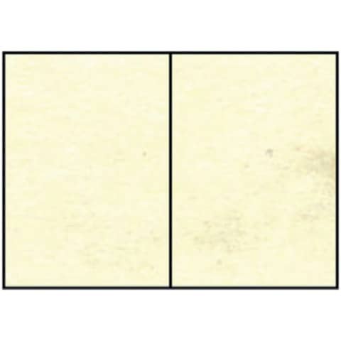 1617973