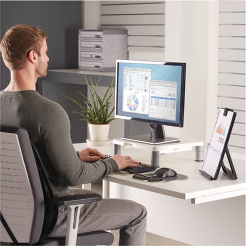 FELLOWES Monitor-Ständer Standard Smart Suites - höhenverstellbar, Kunststoff, platingrau