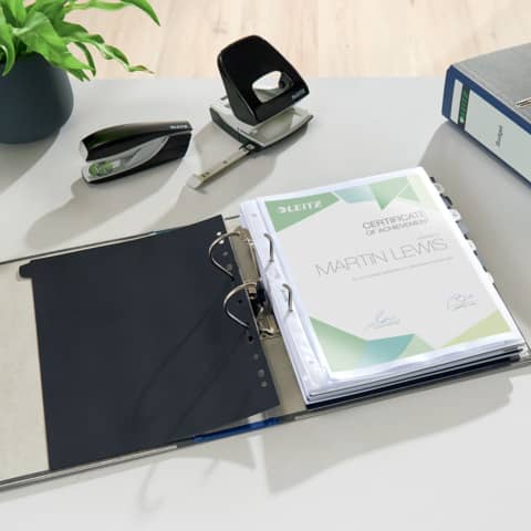 LEITZ 1080 Ordner Pappe A4 Wolkenmarmor, 80 mm, blau