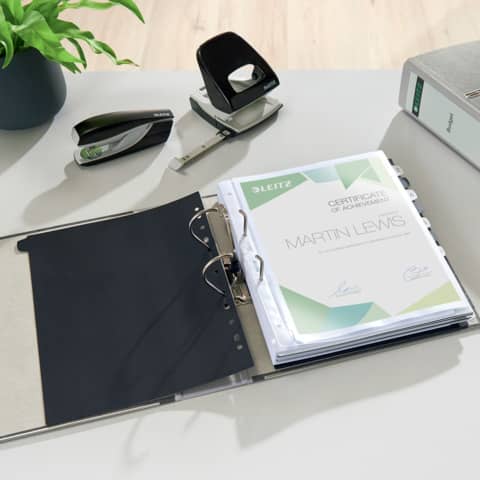 LEITZ 1080 Ordner Pappe A4 Wolkenmarmor, 80 mm, grau