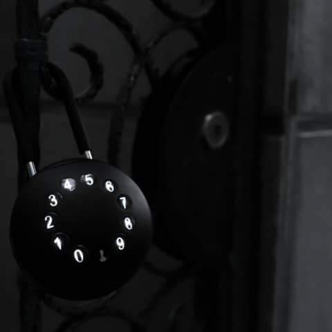 2561684