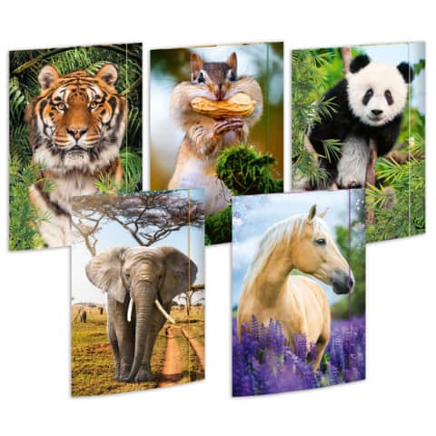 2606931