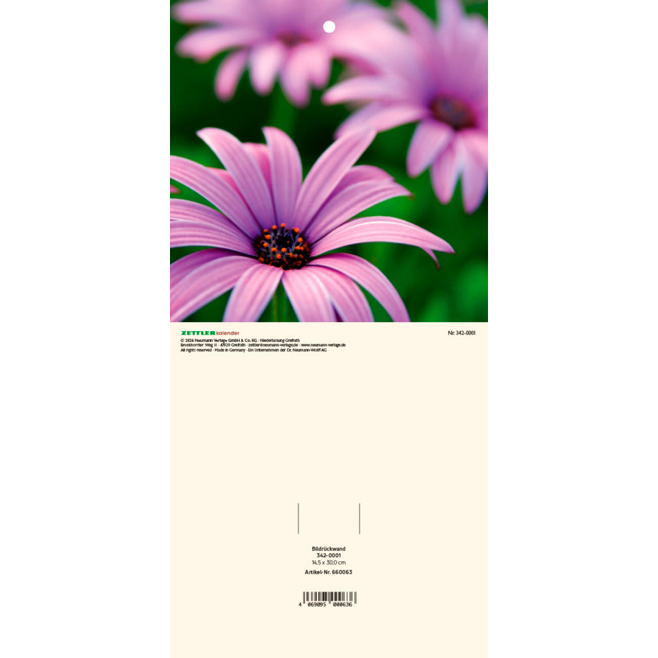Kalenderrückwand Blumen für 301 und 302, 14,5 x 30 cm ZETTLER 162100