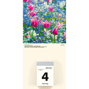 Kalenderrückwand Blumen für 301 und 302, 14,5 x 30 cm ZETTLER 162100