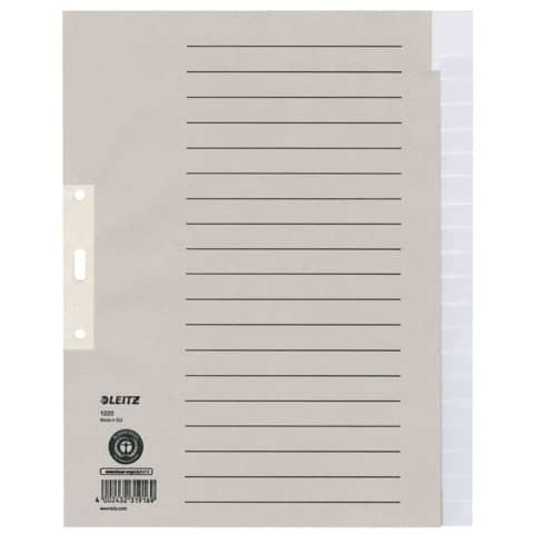 Register A4 blanko grau LEITZ 12200085 Papier 20tlg.