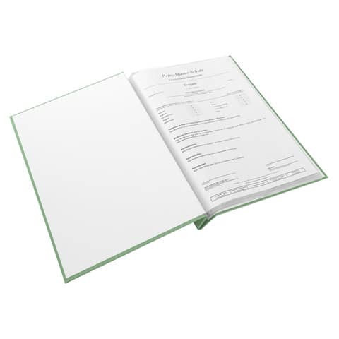 Zeugnismappe frech & frei moosgrün GOLDBUCH 36 130 A4