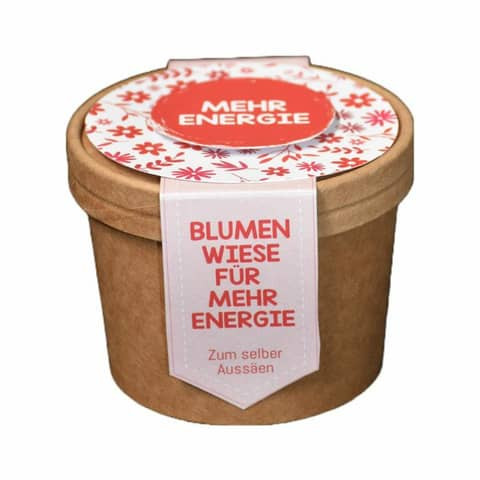 Blumenwiese zum Aussäen Energie WUNDERLE 41730