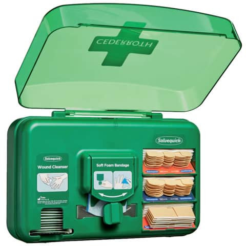 Pflasterspender medium gefüllt grün CEDERROTH REF51011006
