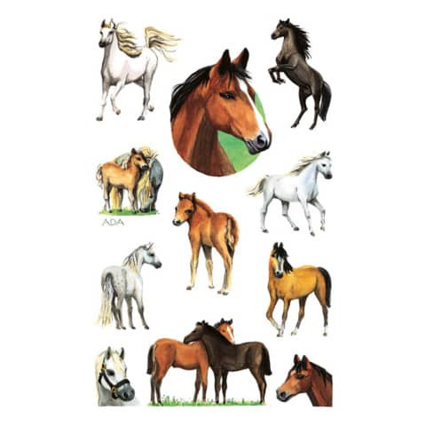 Schmucketikett Pferde ZWECKFORM 53483 m.Glimmer