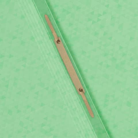 Schnellhefter A4 Karton pastell grün OXFORD 400147497 Top File+