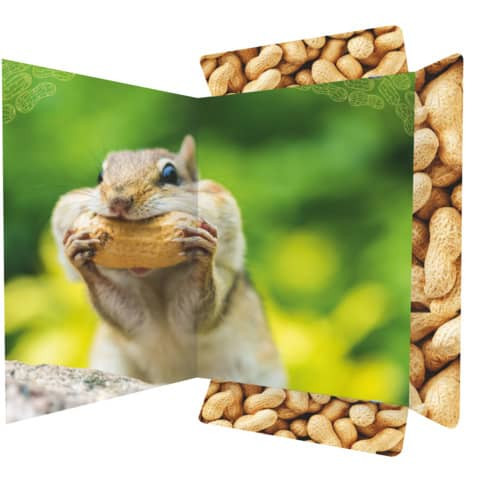 Gummizugmappe A3 Chipmunk RNK 45375