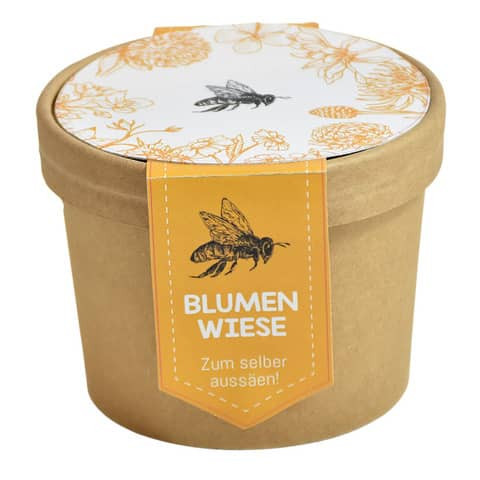 Bienenwiese-Pott zum Aussäen WUNDERLE 41733
