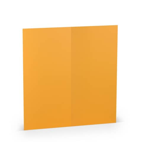 Briefkarte HD DL PL ocker ger. 16406943 100x210mm