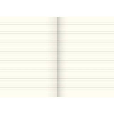 Geschäftsbuch A4 40BL liniert K+E 8614111 Karton