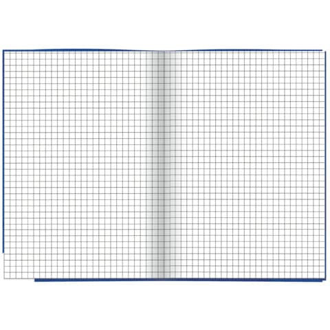 Notizbuch A5 Business blau RNK 46468 96Bl kariert
