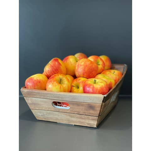 Obstkorb Äpfel 4 KG im Korb FRUITON