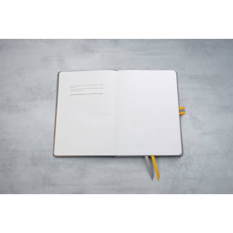 Notizbuch ca.A5 liniert hellgrau SIGEL LS101 Linescape Hardcover