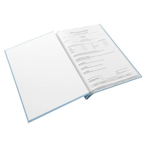 Zeugnismappe frech & frei hellblau GOLDBUCH 36 129 A4