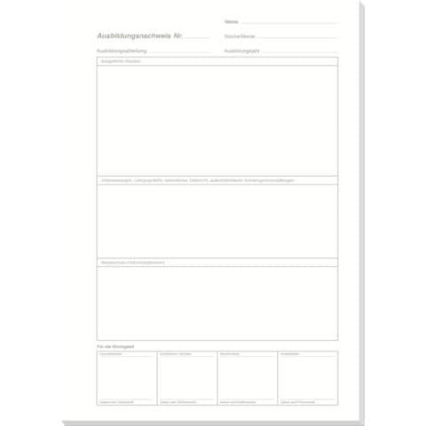 Ausbildungsnachweis wöch.28BL,Seite perf RNK 5084 Tätigkeitsbericht BK