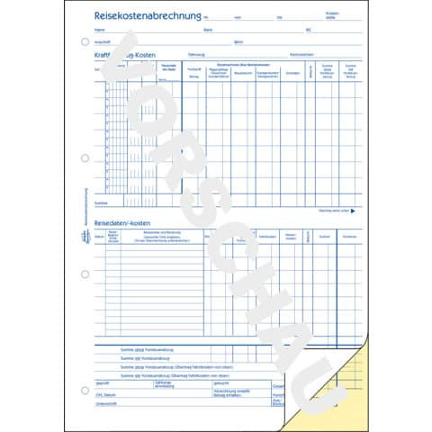 Reisekostenabrechnung A4 2x40Blatt SD AVERY ZWECKFORM 1751