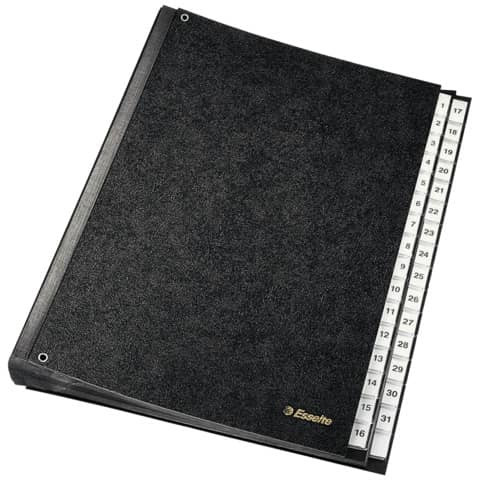 Pultordner 1-31 schwarz ESSELTE 1114119 32 Fächer Pappe