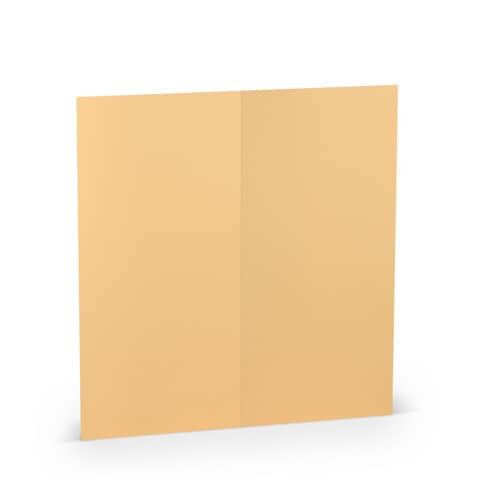 Briefkarte HD DL PL melon ger. 164069122 100x210mm
