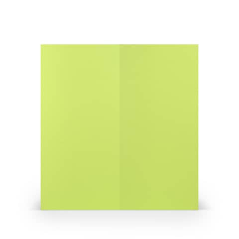 Briefkarte HD DL PL maigrün 16406922 100x210mm