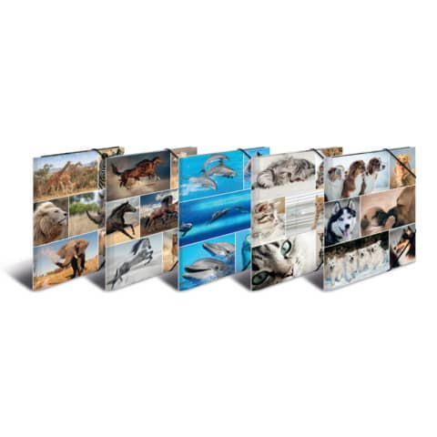 Gummizugmappe A4 Animals sortiert HERMA 19346 Karton