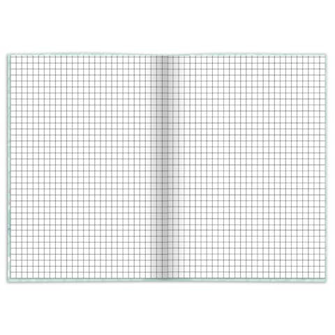 Notizbuch A5 96BL kariert Axolotl RNK 46813