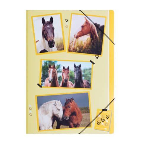 Sammelmappe A4 PP xoxo Horse PAGNA 21715-15 mit Gummiband