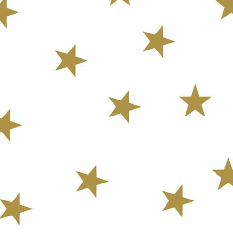 Fotokarton 50x70cm Sterne weiß FOLIA 5800 300g