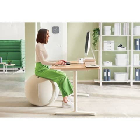 Sitzball Active Ø 65cm hellgrau LEITZ 6542-00-85 Ergo