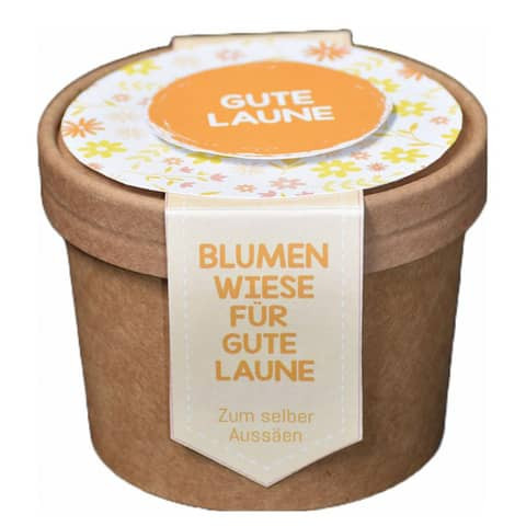 Blumenwiese zum Aussäen Gute Laune WUNDERLE 41729
