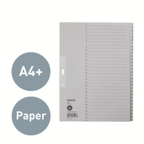 Register A4 1-31 grau LEITZ 12310085 Papier 31tlg.