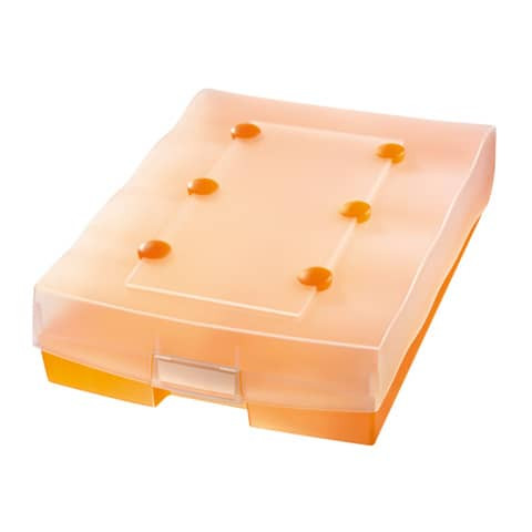 Archivbox Croco Duo orangetransparent HAN 9987-613