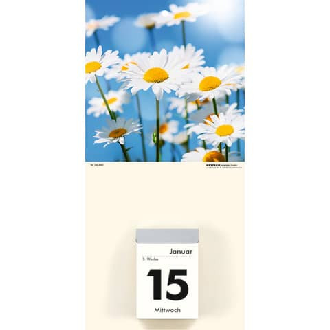 Kalenderrückwand Blumen ZETTLER 660063/342-0001 14,5x30cm