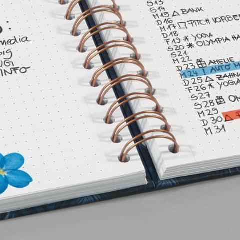 Spiralnotizbuch A5 120BL Sweet Dots SIGEL JN601 Jolie punktkariert